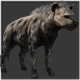 Hyena's avatar