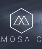 Boxshot Mosaic