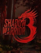 Boxshot Shadow Warrior 3