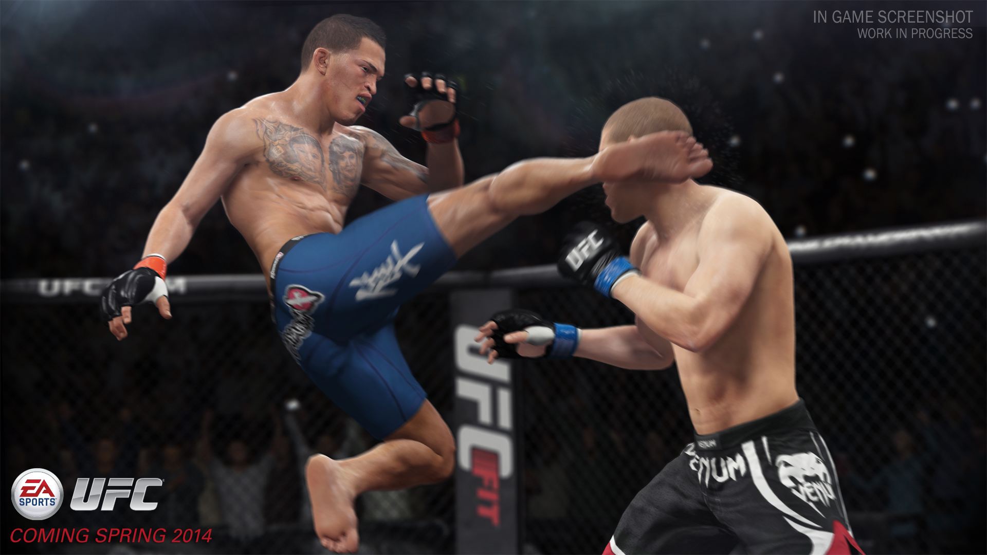 http://playsense.nl/wp-content/uploads/2014/02/EA-Sports-UFC-01.jpg