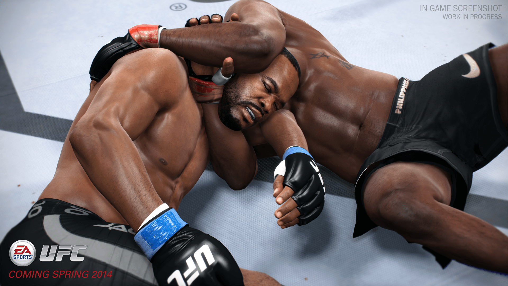 http://playsense.nl/wp-content/uploads/2014/02/EA-Sports-UFC-02.jpg