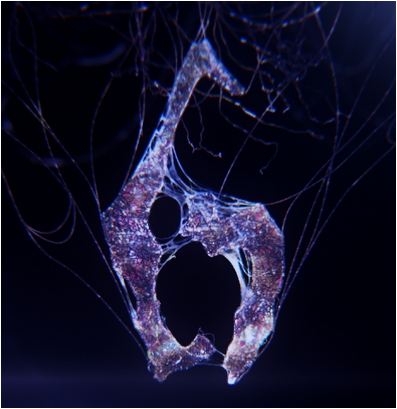 Resident Evil 6 heruitgave draait op resolutie van 1080p en 60 frames per seconde
