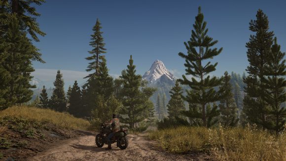 Days Gone PS4 pro 2