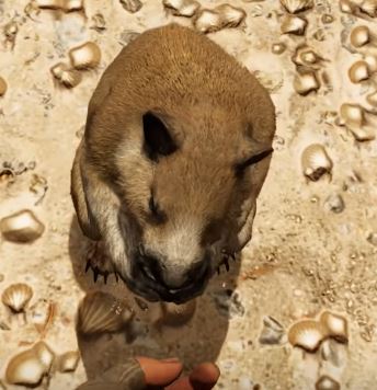 Haal je innerlijke dierenvriend boven met nieuwe Far Cry 6 gameplay