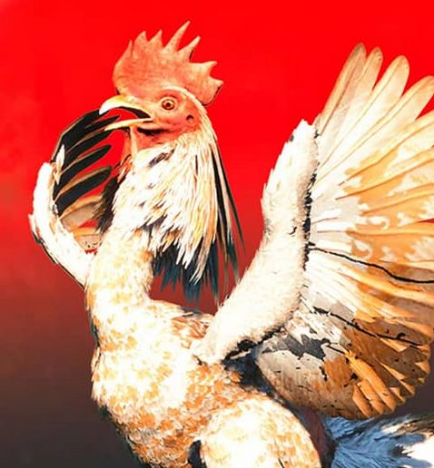 PETA dringt aan op het verwijderen van hanengevechten uit Far Cry 6