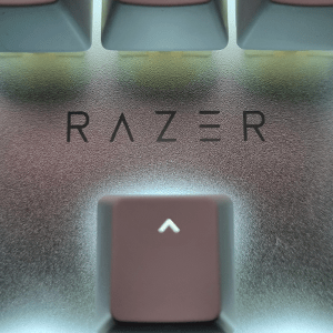 Special | Thuiswerken samen met Razer