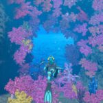 Nieuwe Endless Ocean Luminous trailer gaat in op de gameplay