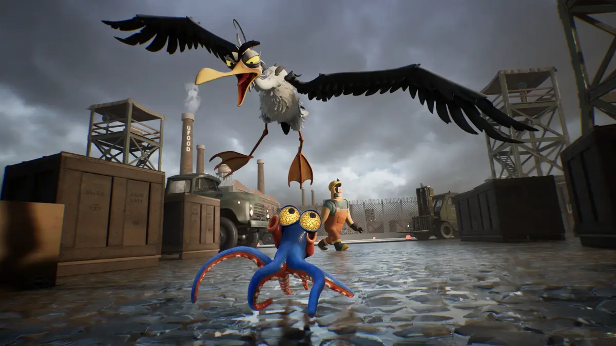 Meeuw in Darwin's Paradox!