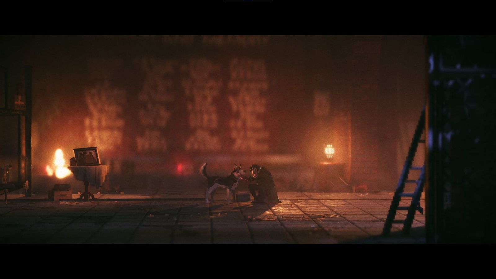 replaced screenshot met hond