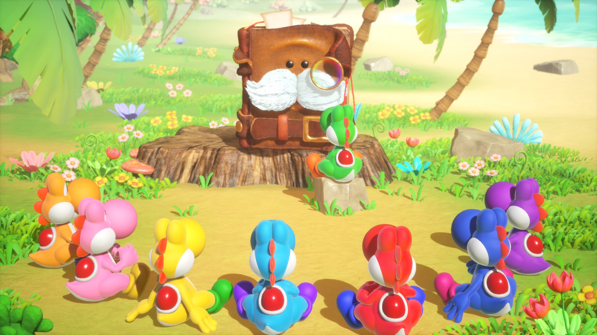 Yoshi and the Mysterious Book
